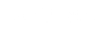 True North logo